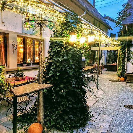 Hotel Peter Schaefer Гинсхайм-Густавсбург Экстерьер фото